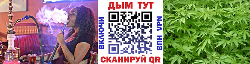 Где купить наркотики Кольчугино OMG ссылка  АМФ  Мефедрон  Галлюциногенные грибы  Альфа ПВП  КОКАИН  Марихуана 