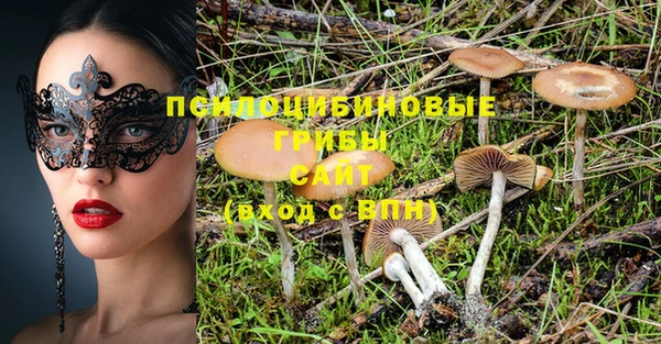 стафф Белокуриха