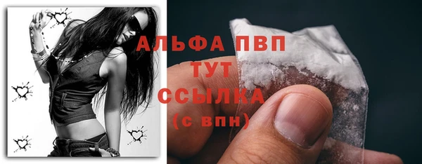 сатива Баксан